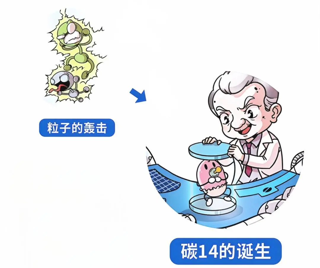 碳14的應用